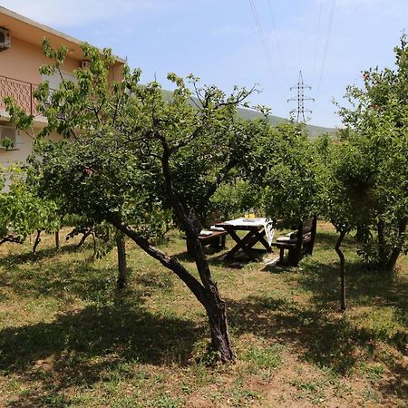 Garden House Apartment Trebinje Buitenkant foto